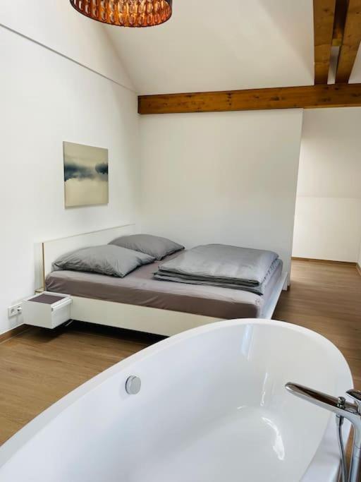 Apartment Traumvilla Im Herzen Hainichens
