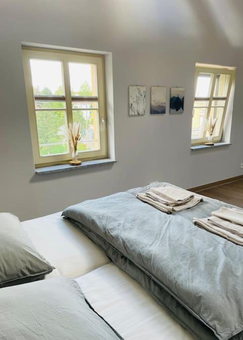Traumvilla Im Herzen Hainichens Apartment