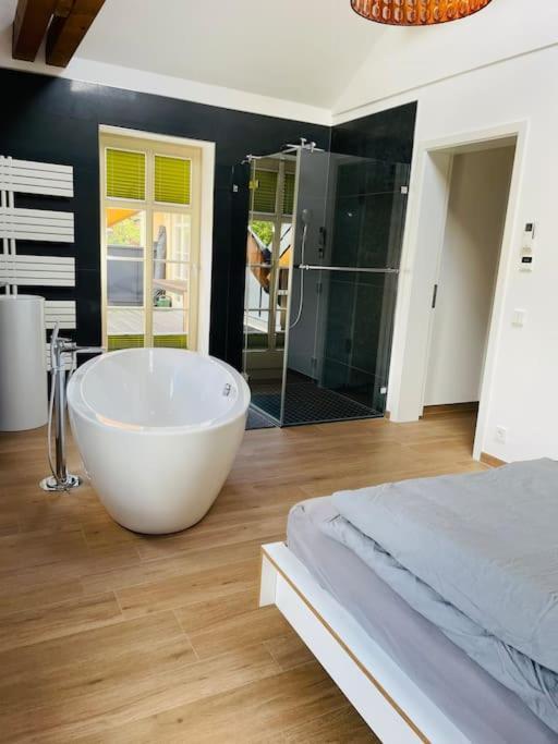 Traumvilla Im Herzen Hainichens Apartment