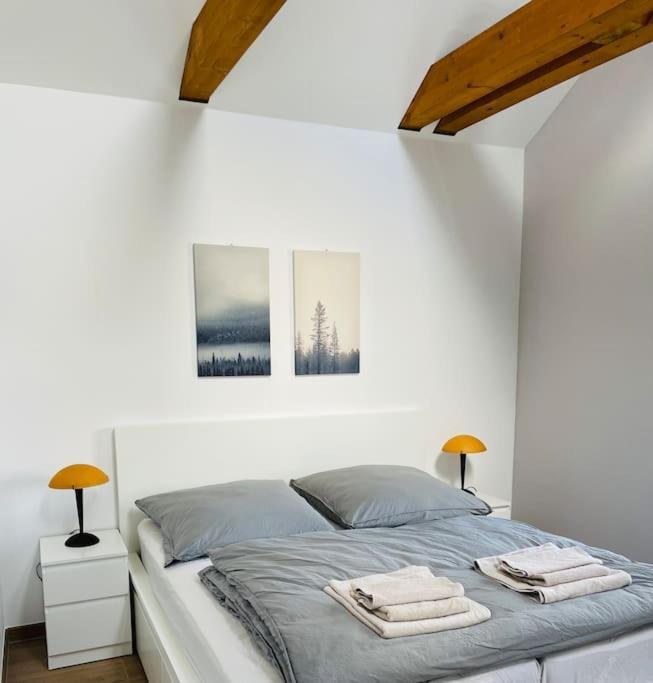 Traumvilla Im Herzen Hainichens *